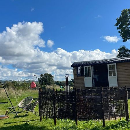 Toadland Shepherd Huts Durham Exteriör bild