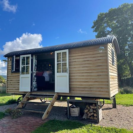 Toadland Shepherd Huts Durham Exteriör bild