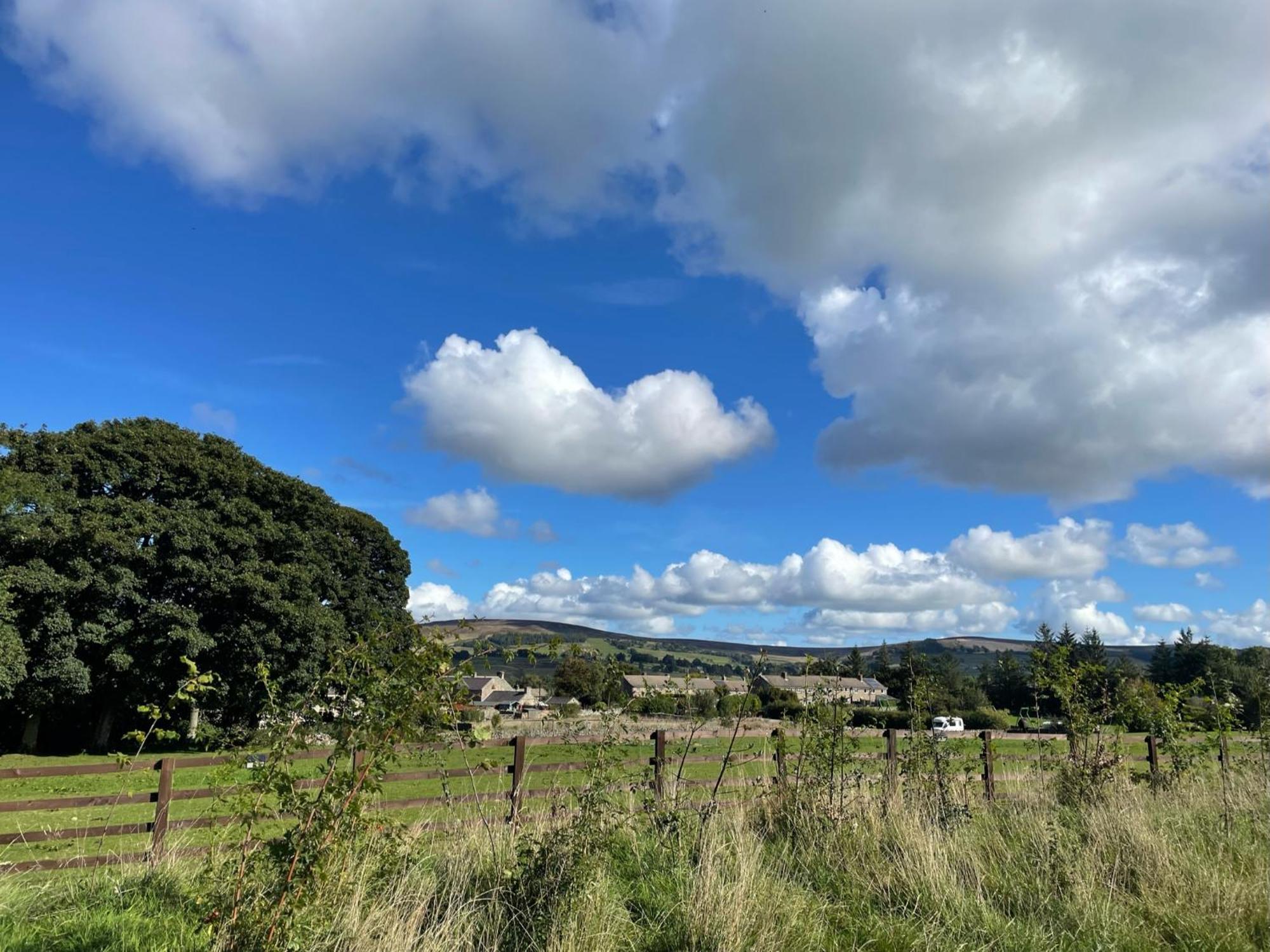 Toadland Shepherd Huts Durham Exteriör bild